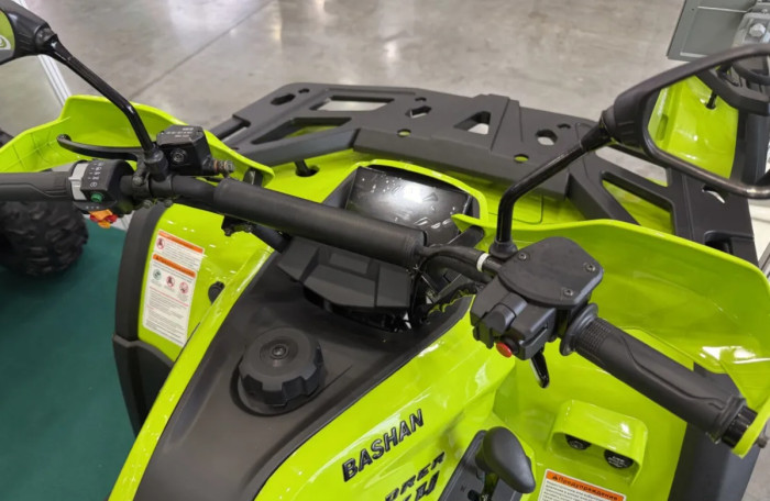 Квадроцикл Bashan BS320AU 4x4 (эПСМ) с лебедкой